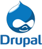 Drupal Customization Services India